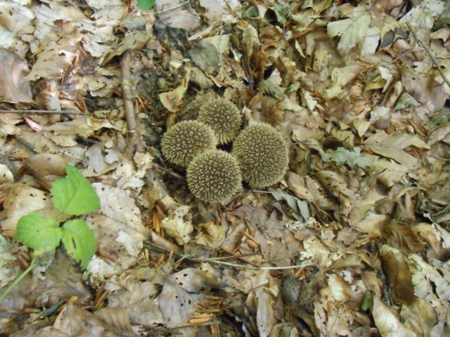 2013_07_26 7 fileminimizer